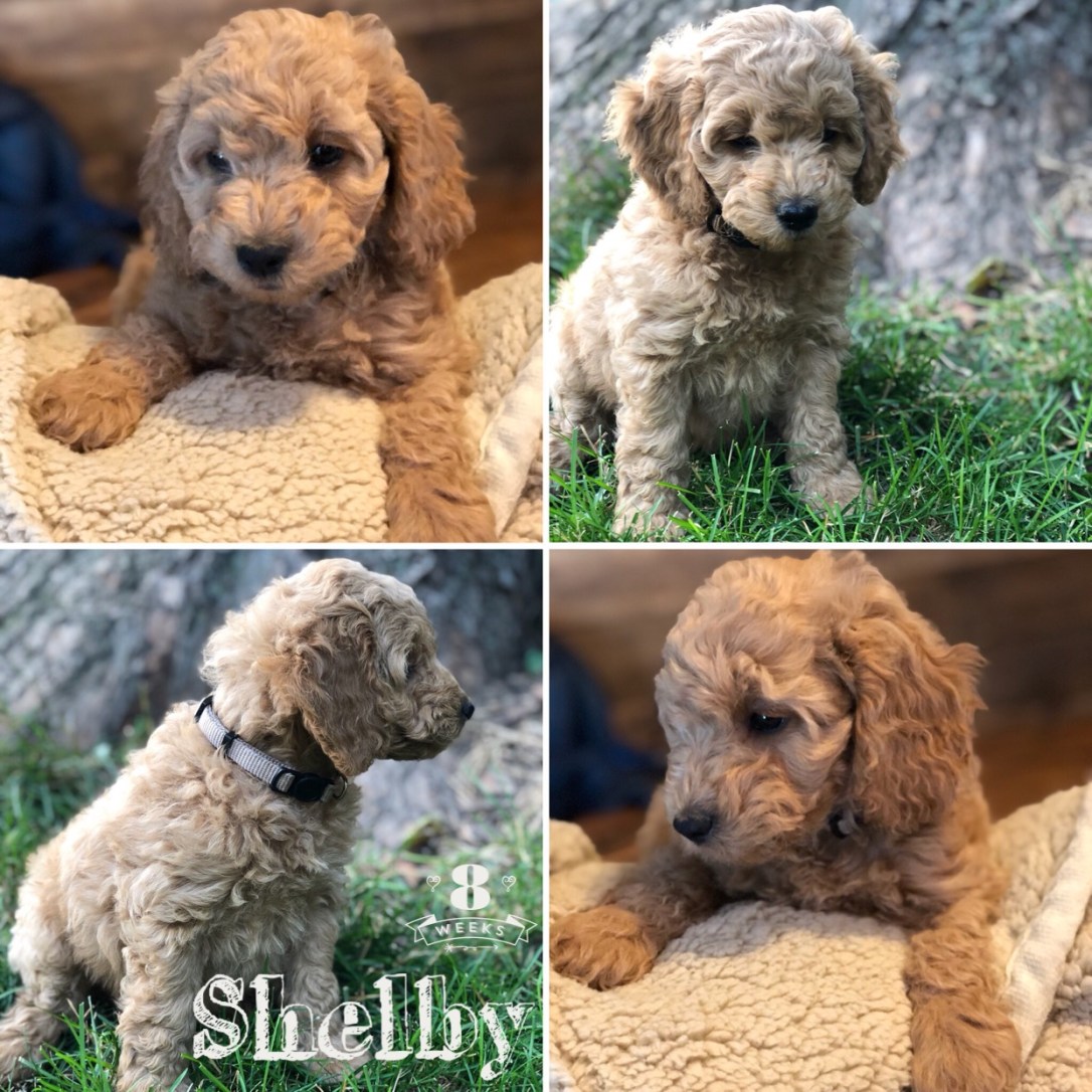 97194F8F-68A3-4970-B882-DF1459A12F17