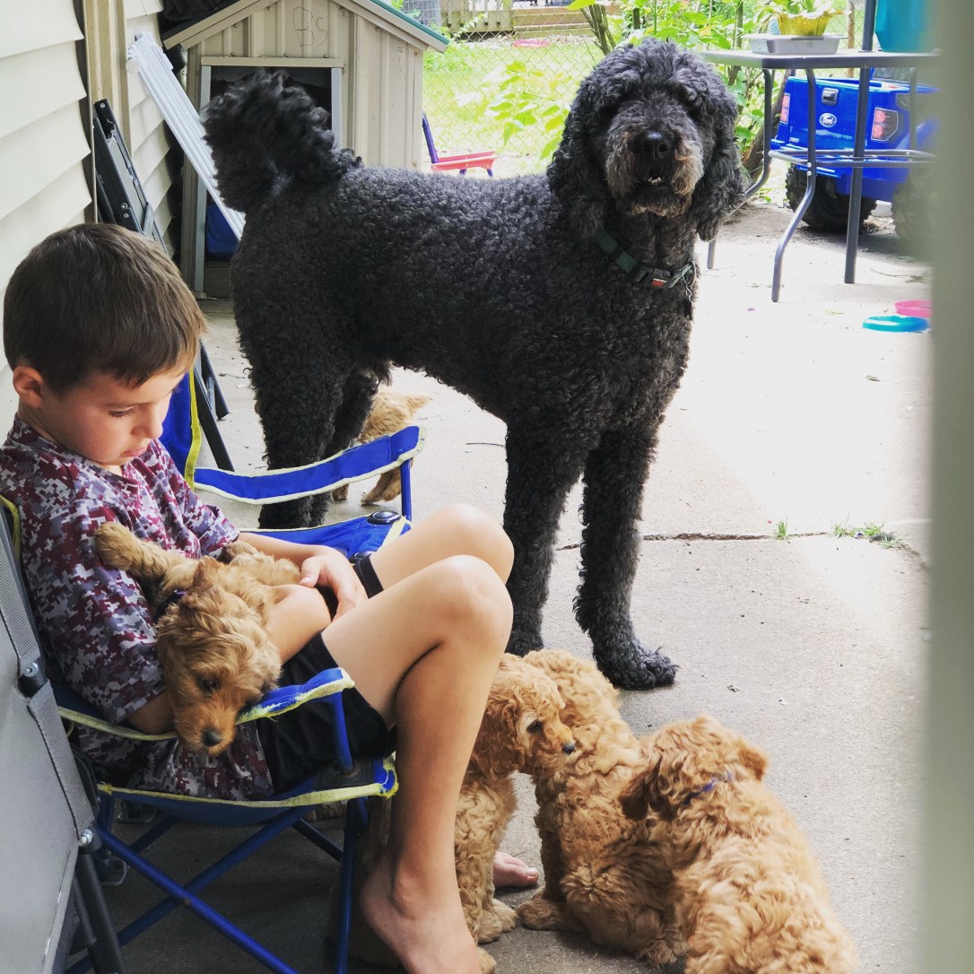 A0BD7778-E826-4ECD-A5AA-2FA93BD270D2