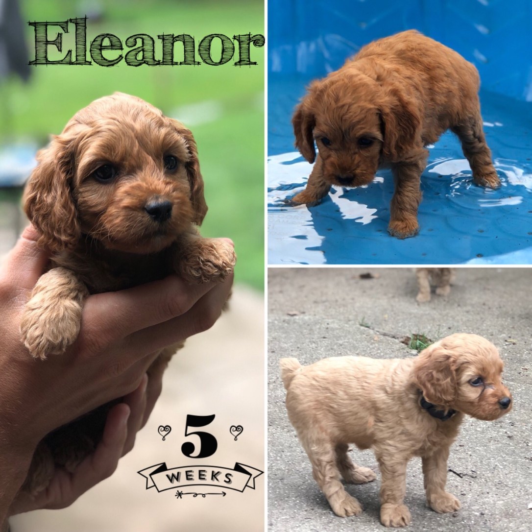 A27974B5-6AA3-4131-8253-EABA188BE0BF