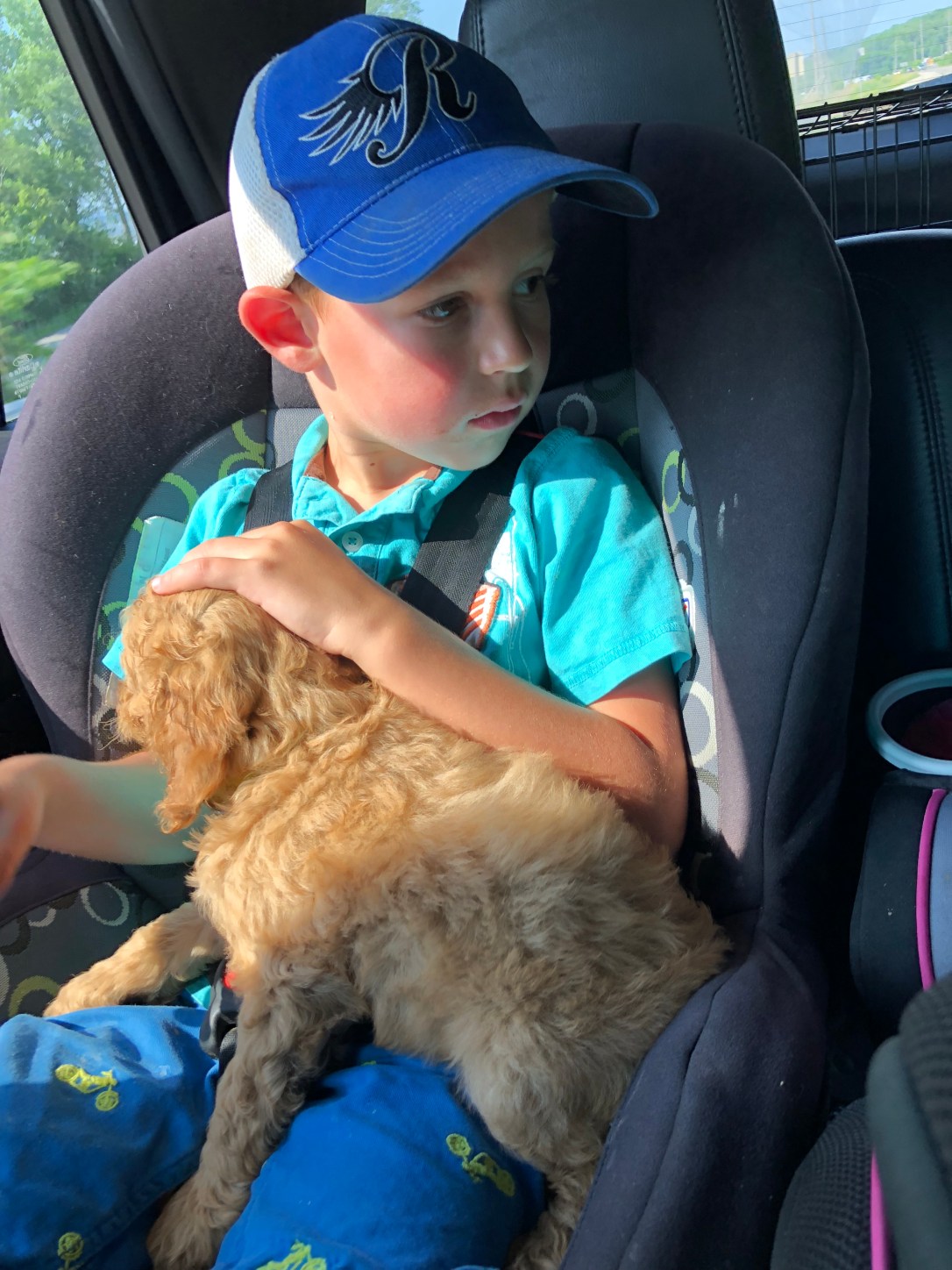 A364795E-DE78-4E6C-AB1E-7573848ABD69