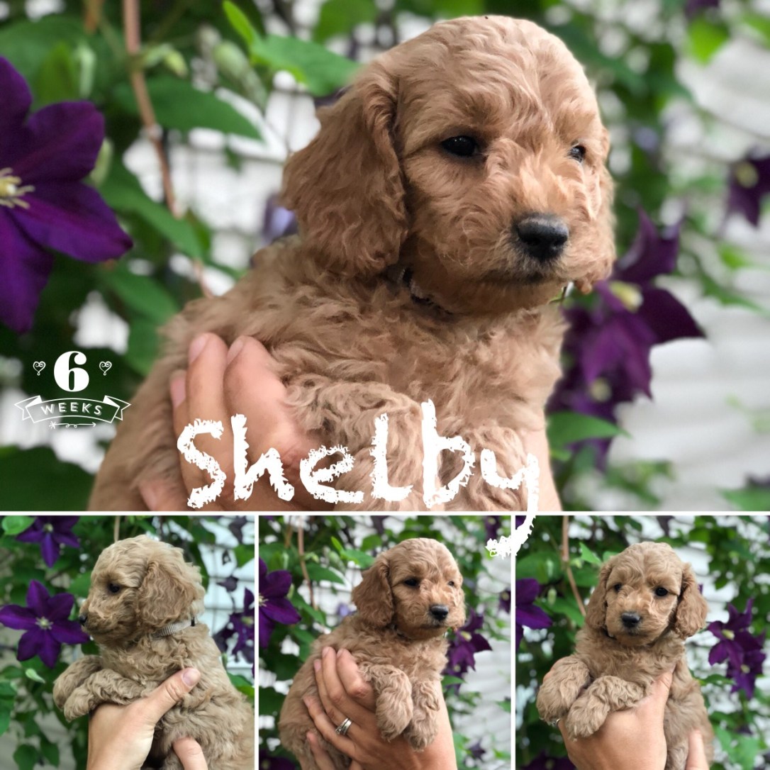 A73C0952-3786-45BC-A70D-A2995DE79495