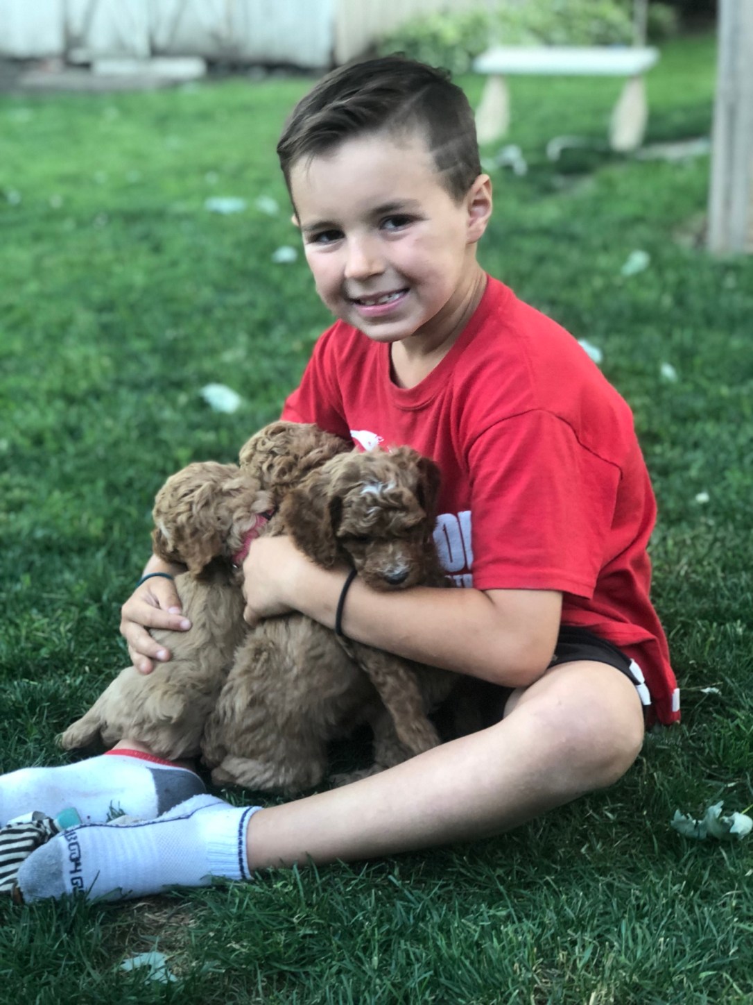 AD086945-9213-4252-BC87-798176FA3E1B