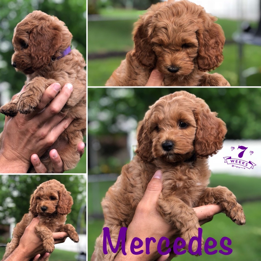 AFDD5A95-54D9-44F7-9489-A3CCB9D5C741