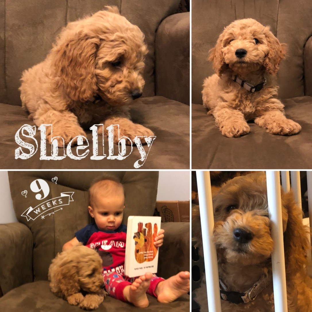 B3A9B31F-EBF4-4316-9730-0C5B823DF7FC