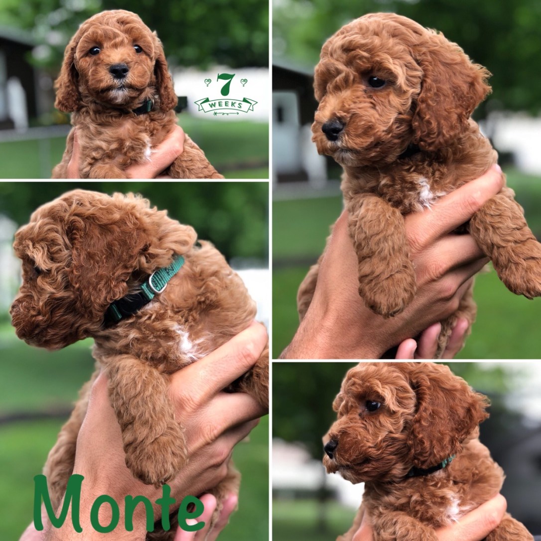 B9AA1F22-ECBD-448D-A02B-B4F9343F2681