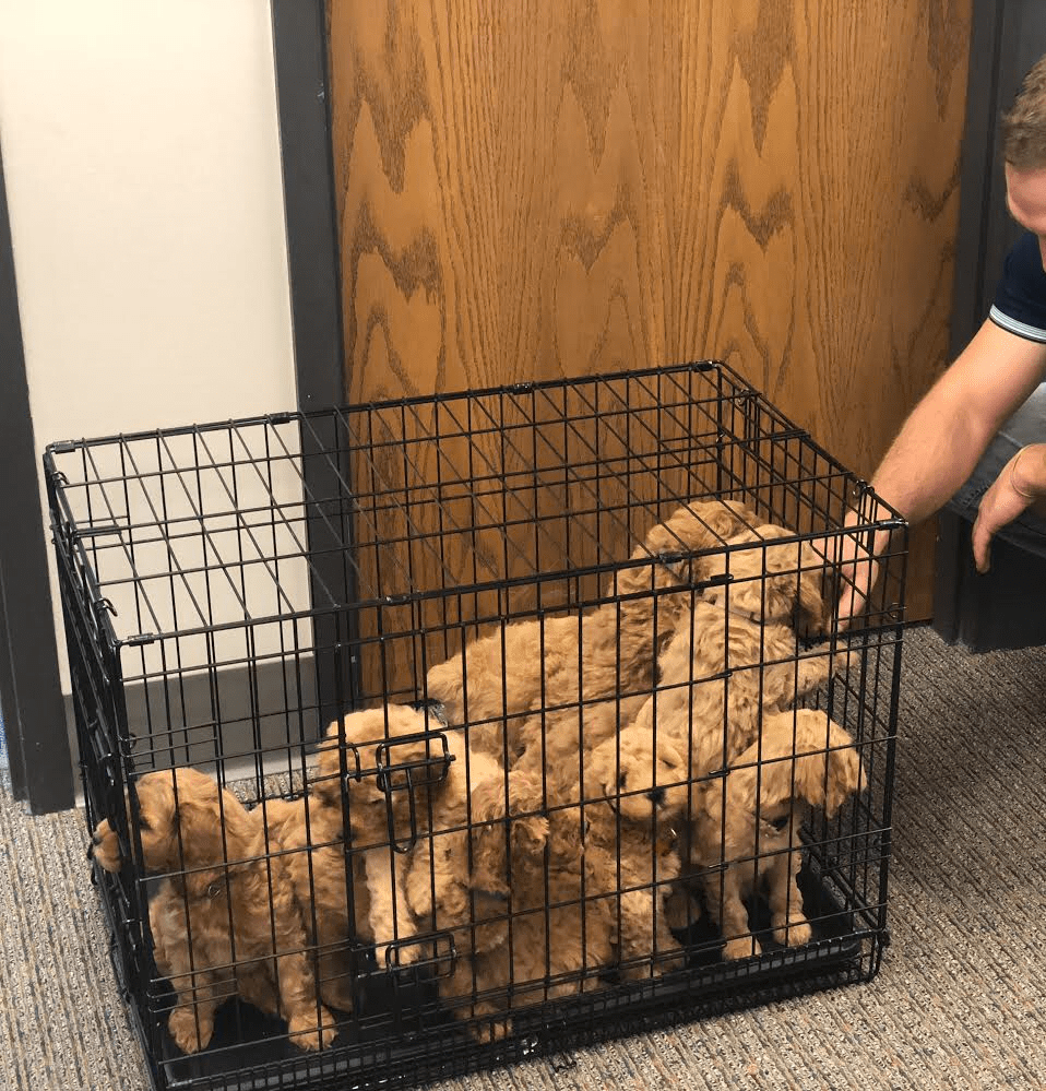 BDD91997-347D-4812-98DF-344C5E5D3D76