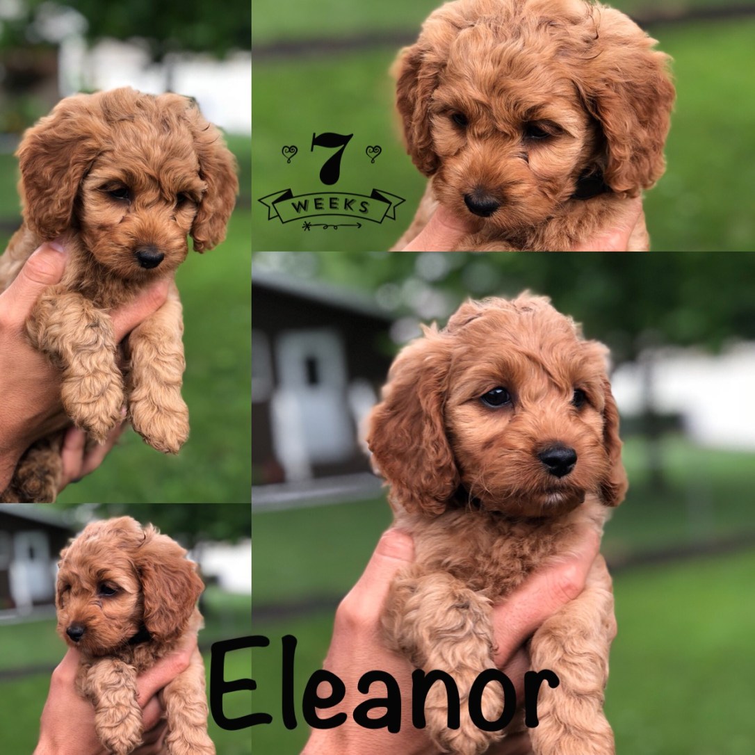 C1E0CA1A-3EA1-4454-92FB-99F647CC9D6F