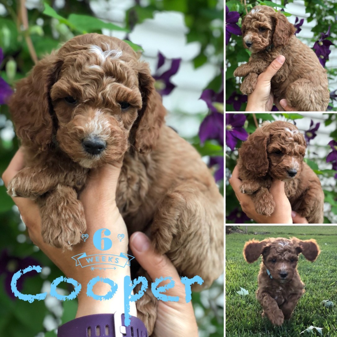 C34779D9-3D82-4DD2-B5AC-2BDA64AEC41F