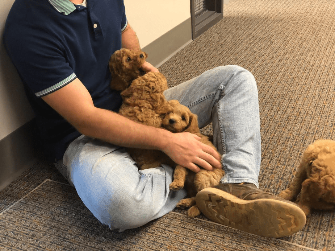 C6C96D51-31E4-4BC9-A08F-C8F2F5585EDD