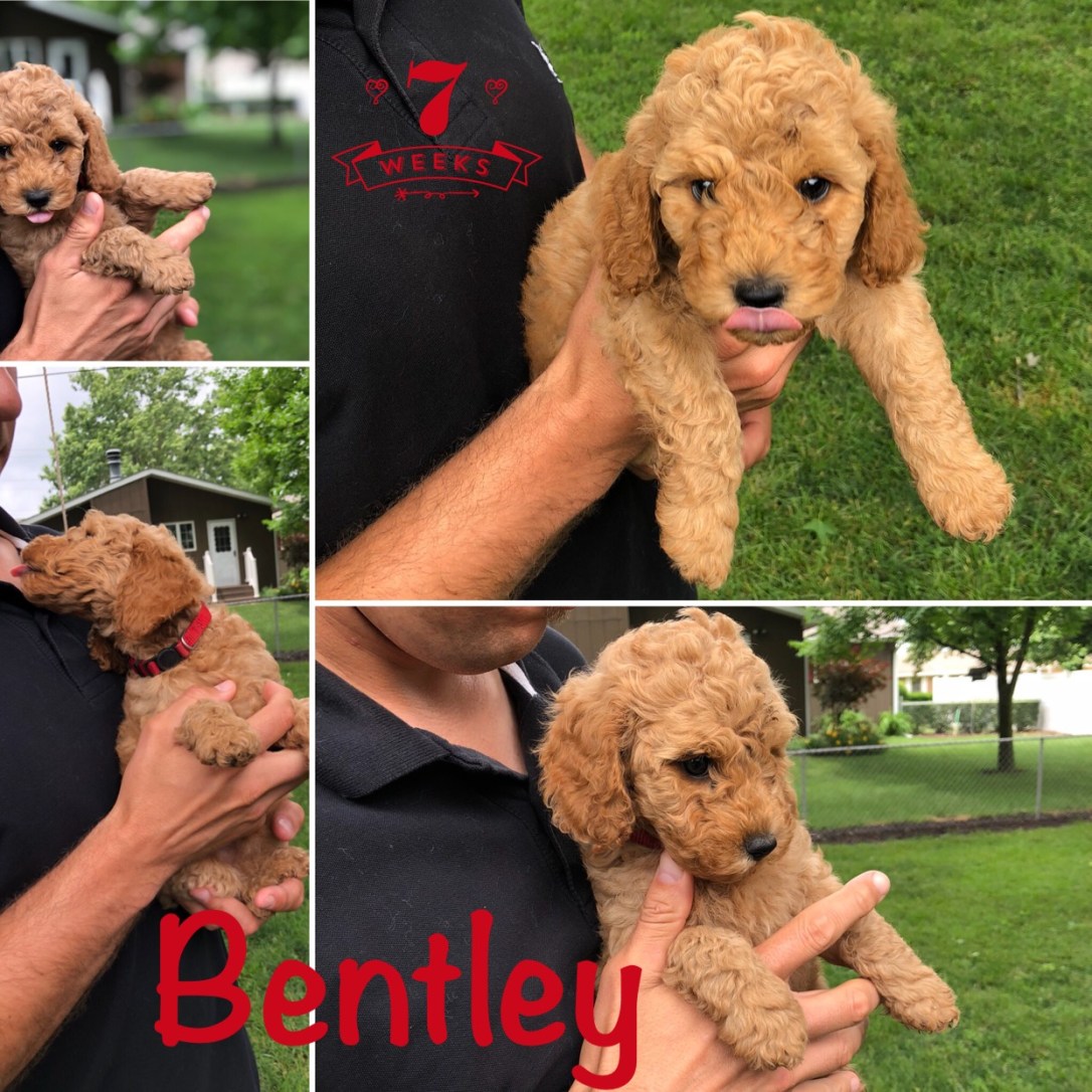 C99E73AA-00EA-4C4A-A54A-8E97540262AB