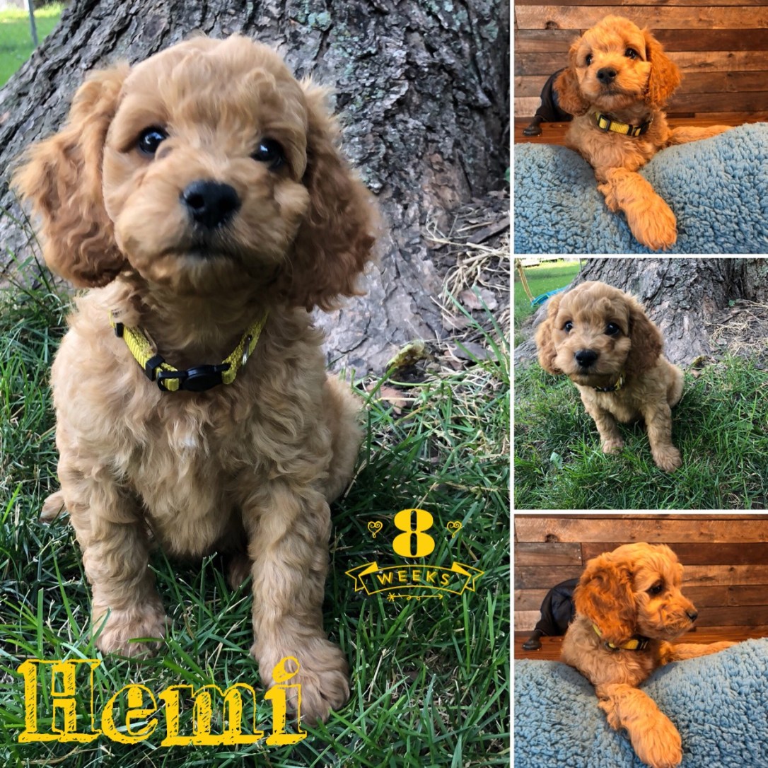 D878BDAF-3FDB-45E7-B1BB-2F210D5486FD