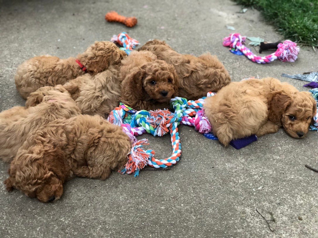 DB2B03E9-D2E3-4604-AF4B-BF3B952F6BEF