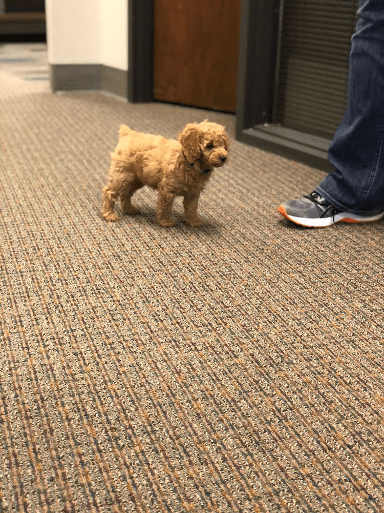 E28543A5-27BB-4A73-9A69-B3FB4614FD80