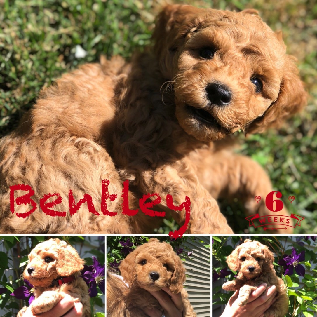 E6168C0D-8170-4FA1-BB7A-129F35EFA960