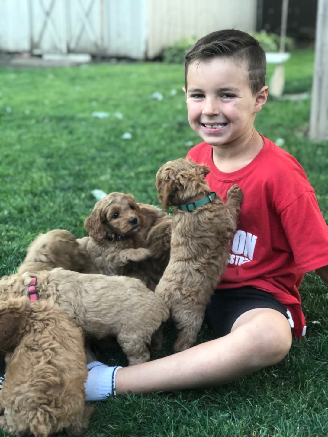 Kipton getting some puppy love in the morning