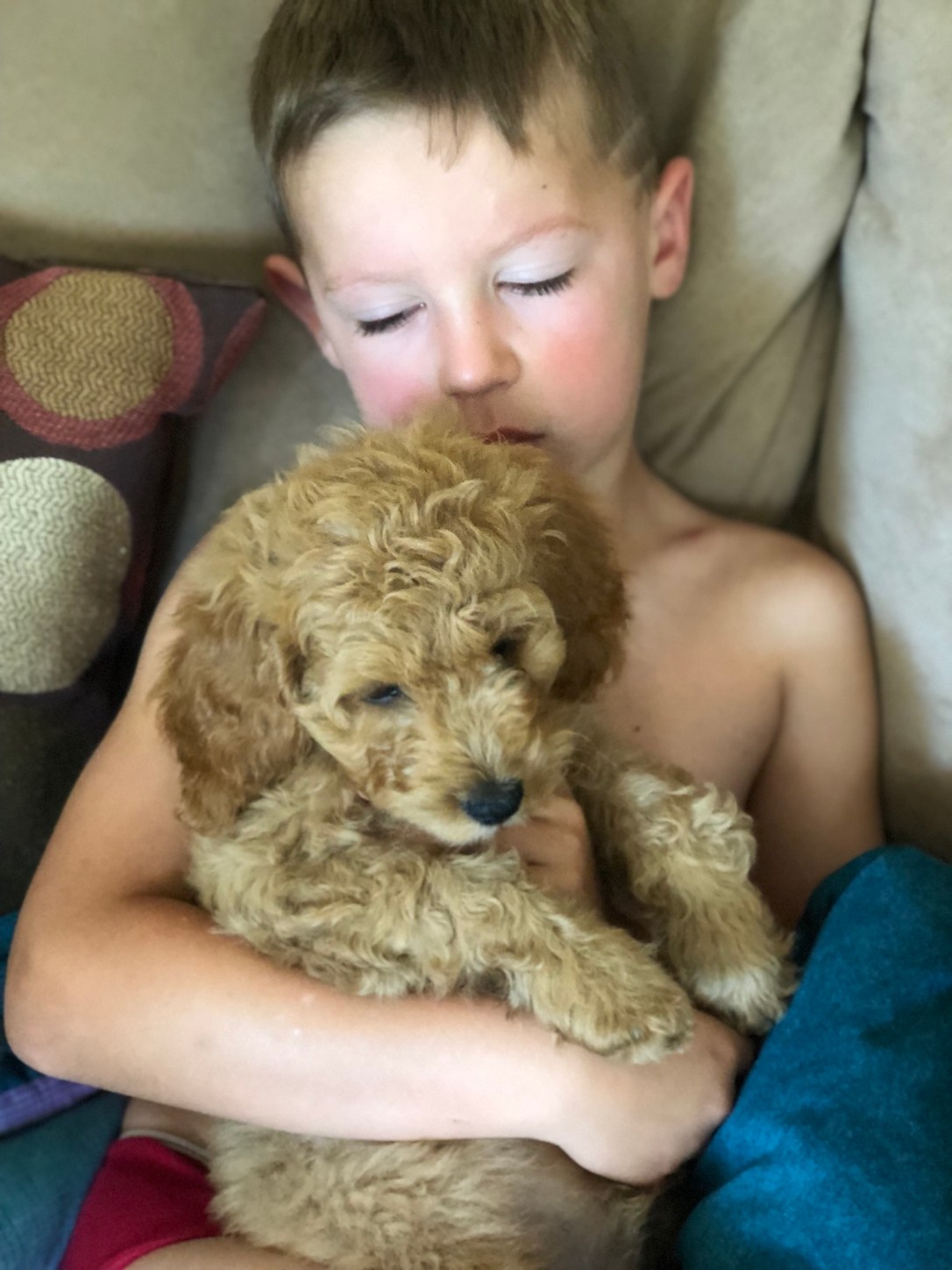 F48B4B7C-34A3-432D-84B5-E59F87BEDD84