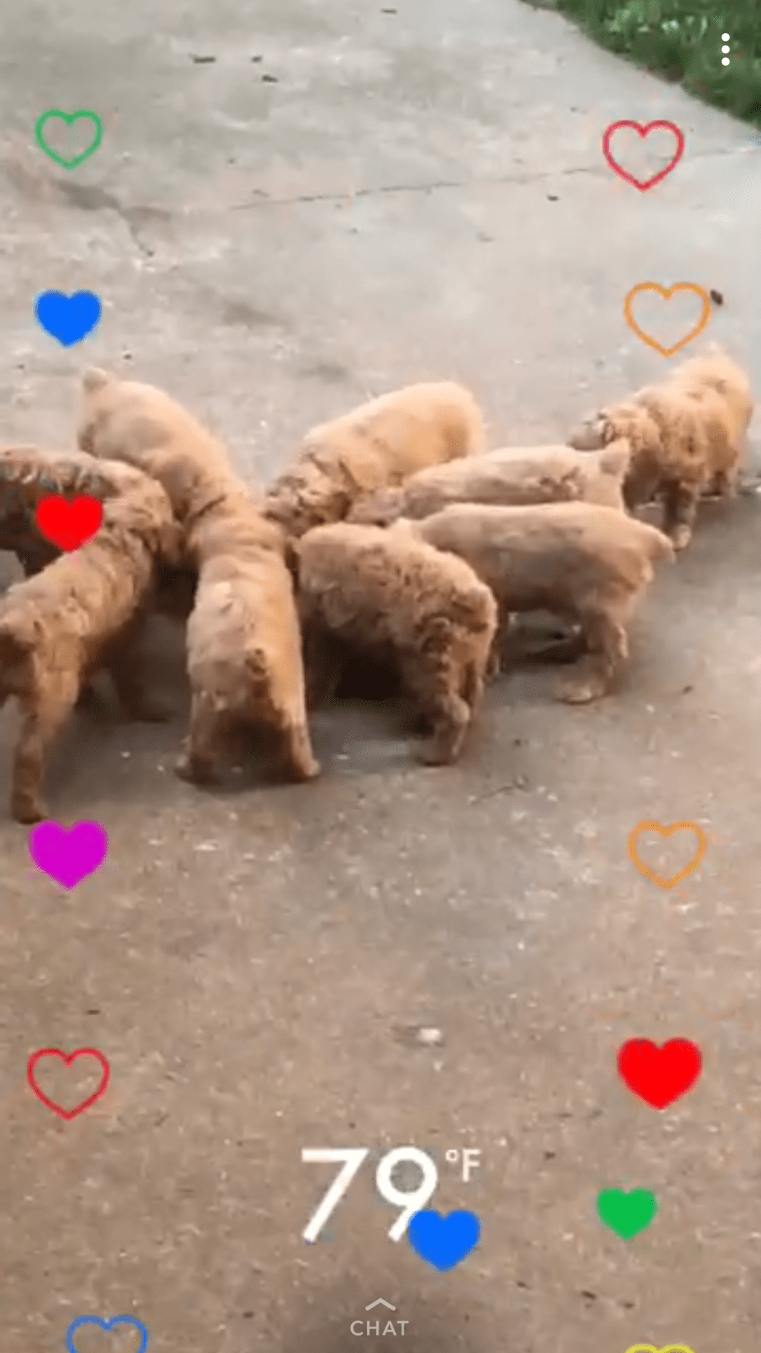 FA5458AB-86C7-4D7E-888D-1D3EB732851A