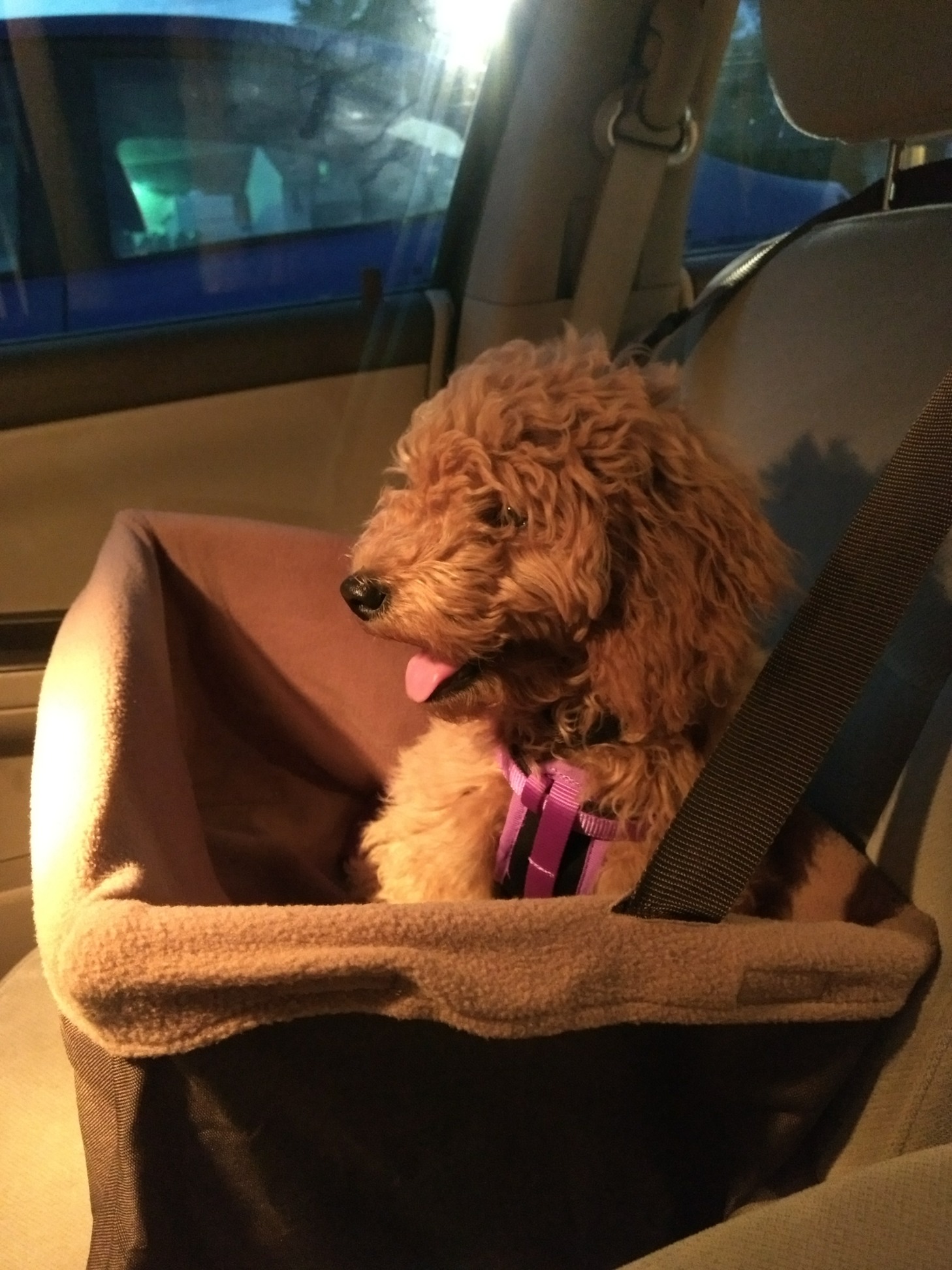 14DC85DC-9115-4805-BE89-53F86BF205A0