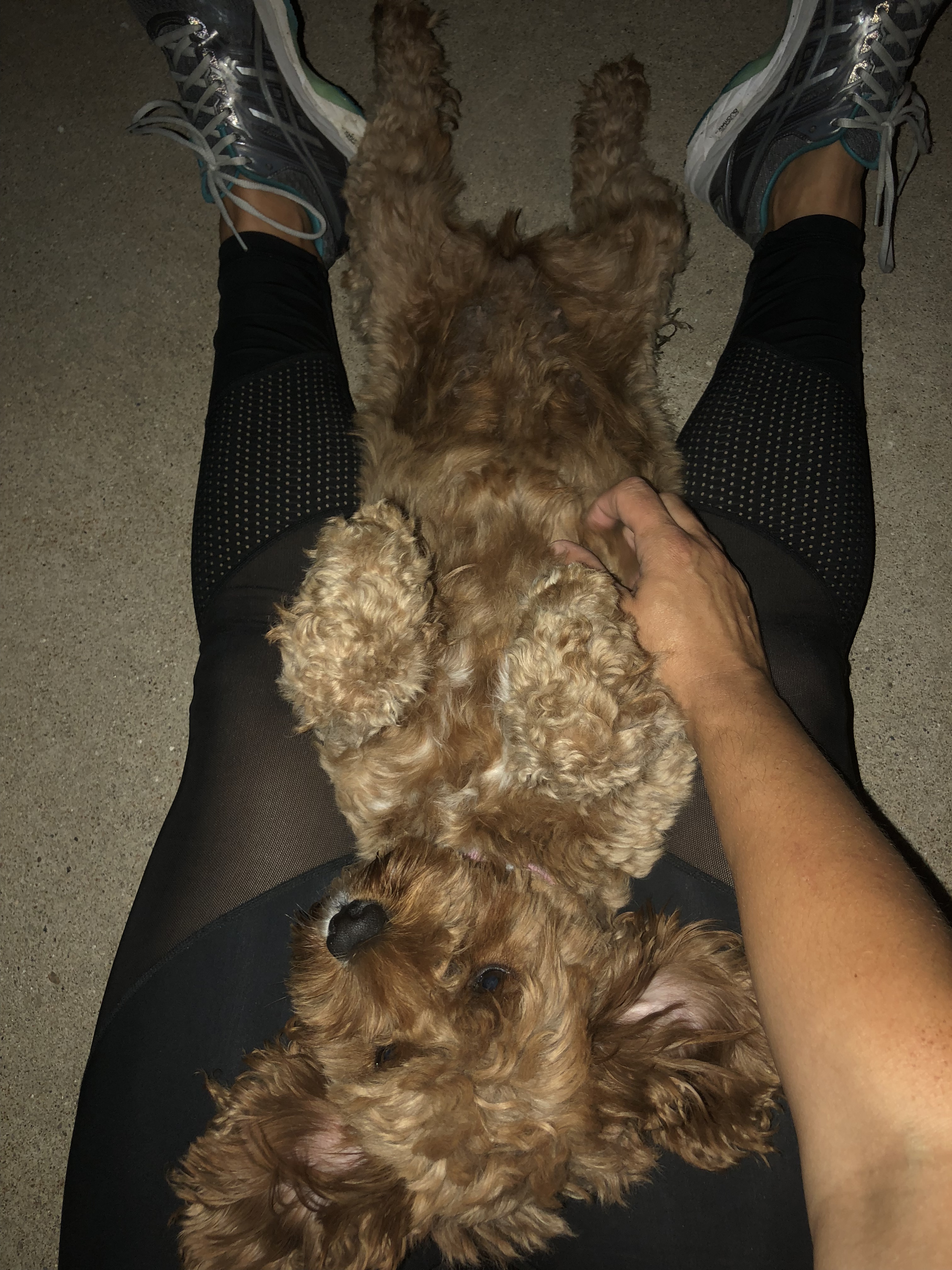 18A8A579-5C10-410D-91EA-C5AC417A8747