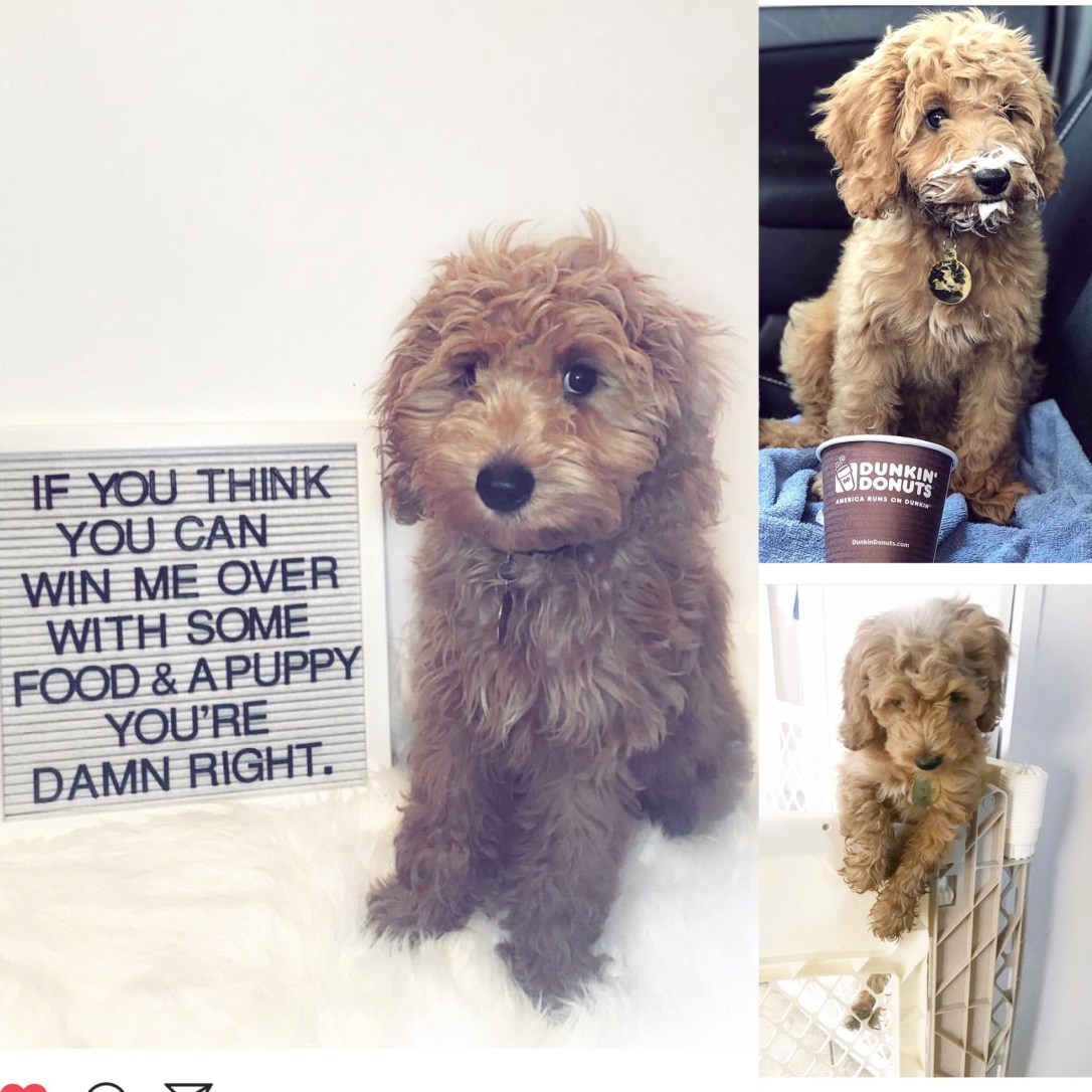 4A890FCA-21A4-4F94-8F2F-98F3D534D8D2