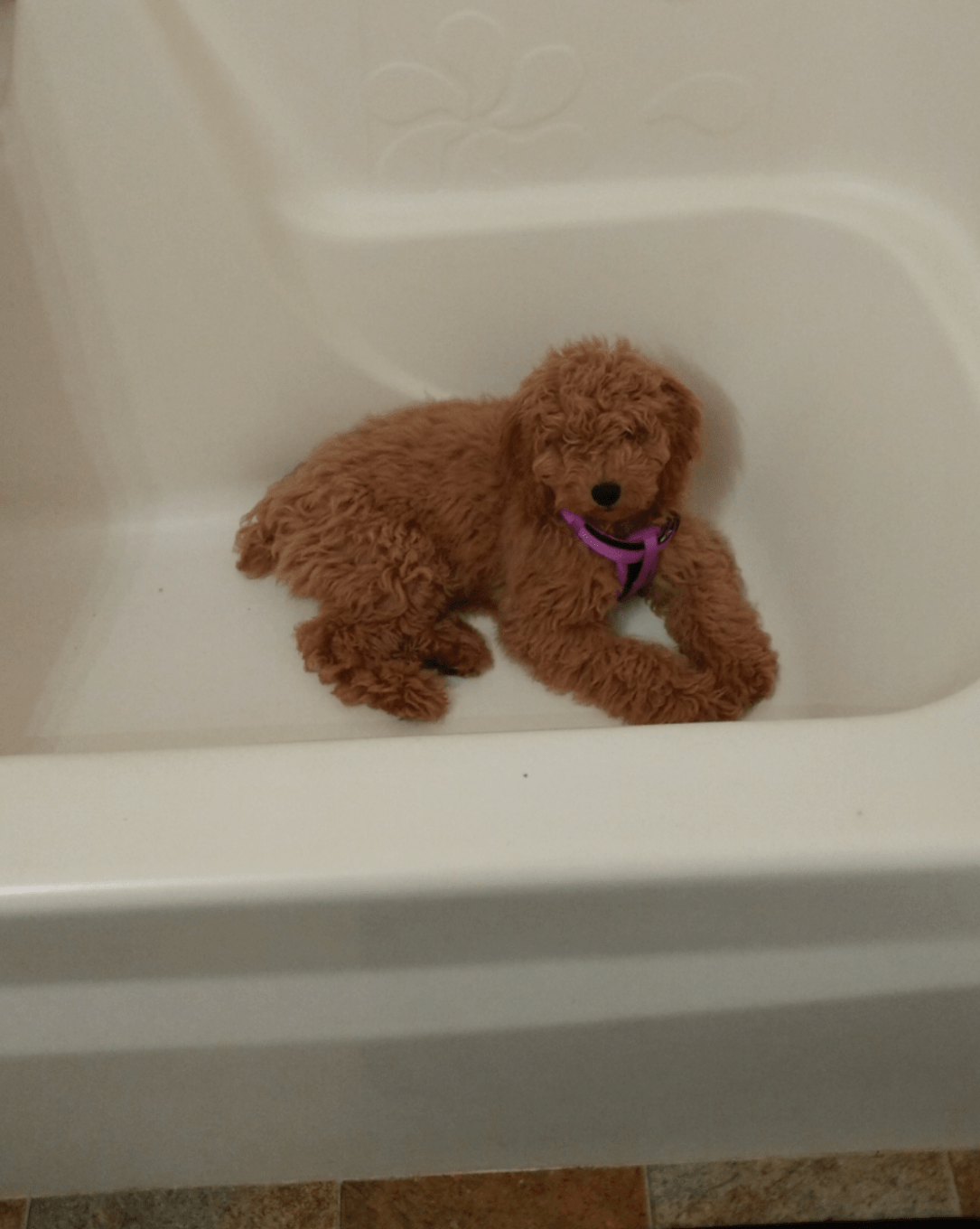 A7D3087A-5EFC-4ACD-B5C0-CB597CFCC3F7