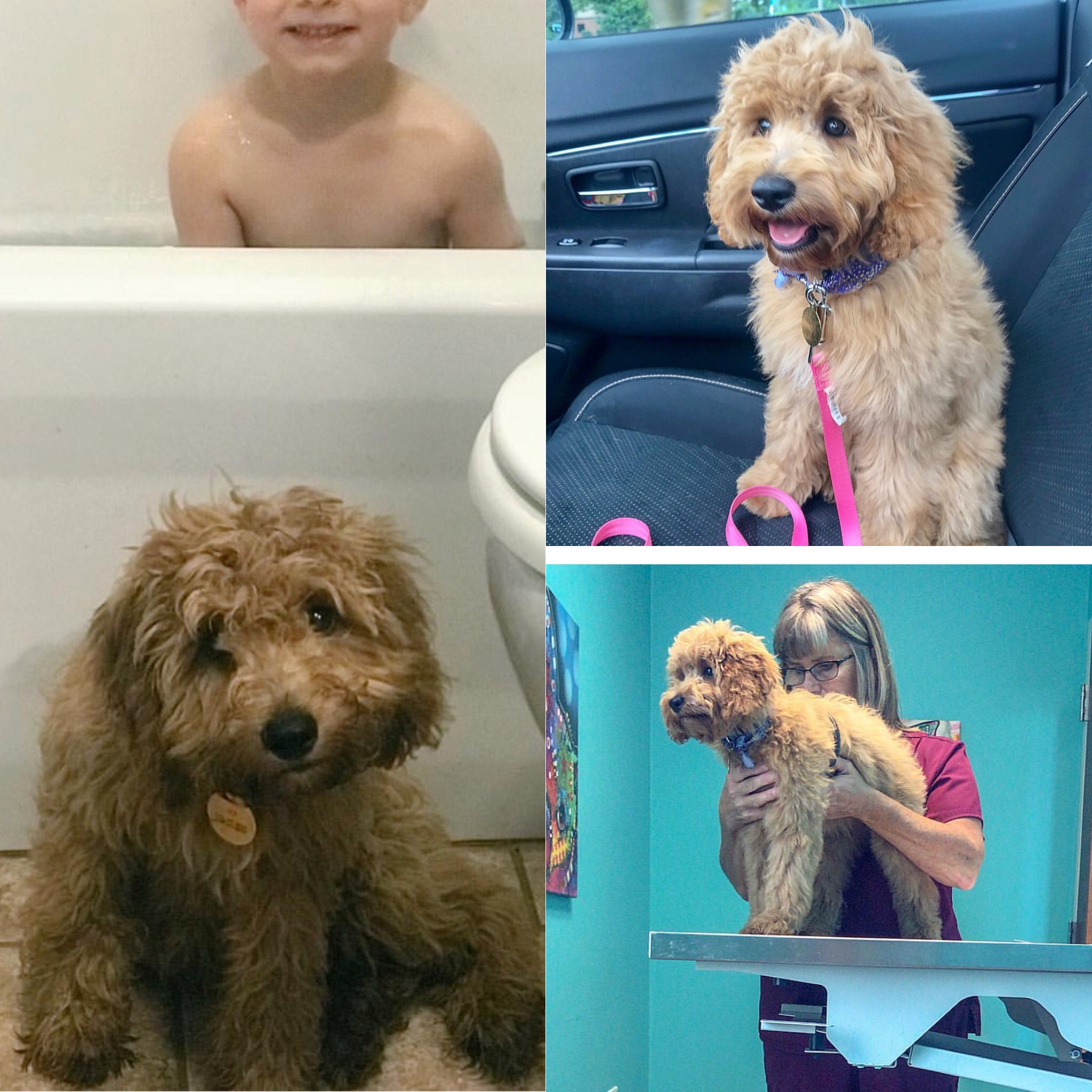 B018EC0D-D68C-4724-BFC4-60FB23BE8AB3