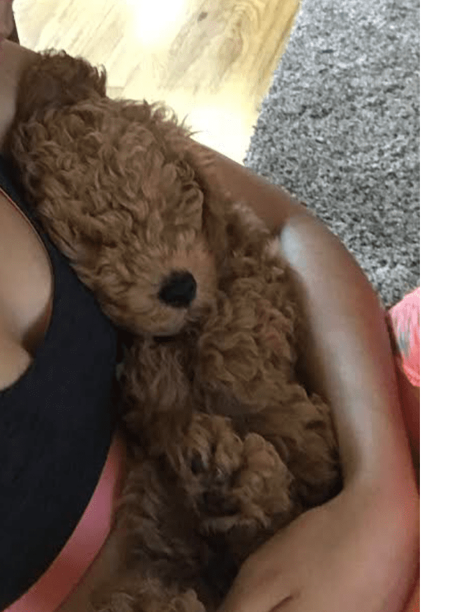 F8F4CD71-9D21-428B-9DCE-6A09FB11F089