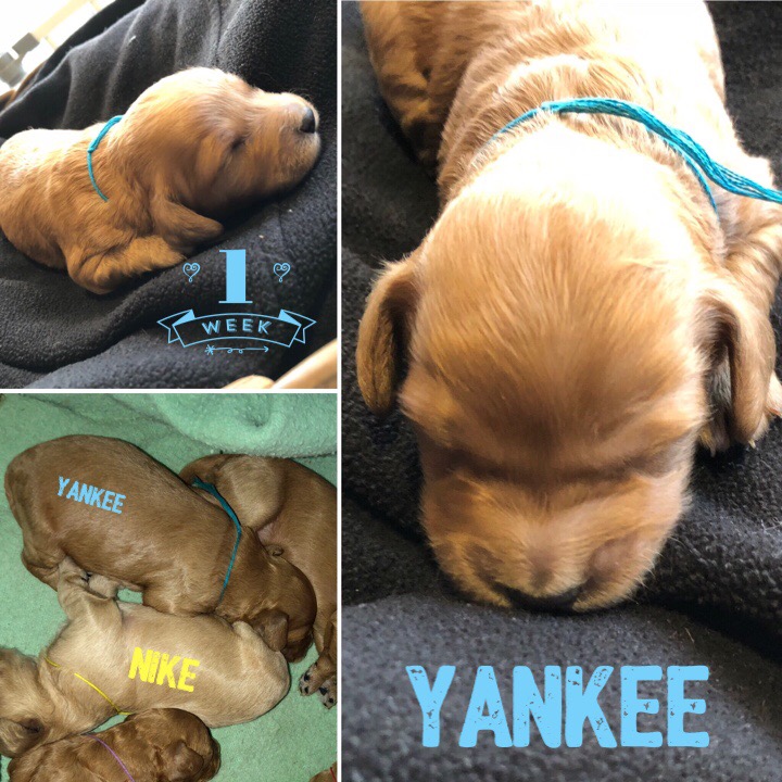 0D22854D-13FE-45E2-B7B6-D8B7F541A243