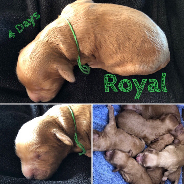 27314F86-0BEB-40FE-A114-7CA60E31BAB5