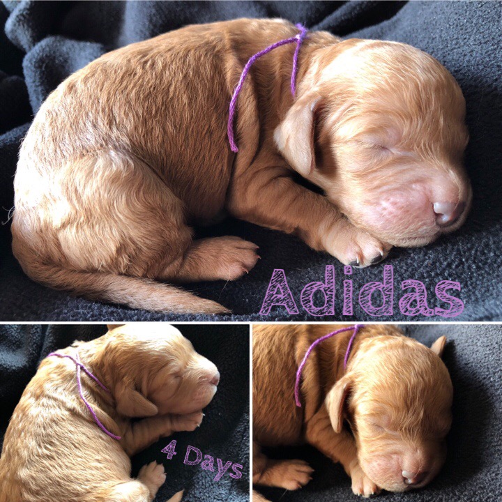 28871F95-2035-4AE0-A940-273421723689