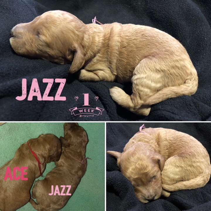 2B92371D-B33C-43C4-9260-F43837112C42