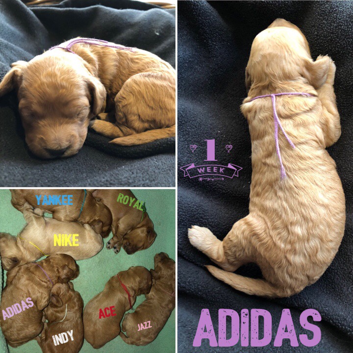 3C18D5A4-6F93-42A5-BF99-1B24A5EE4D5D