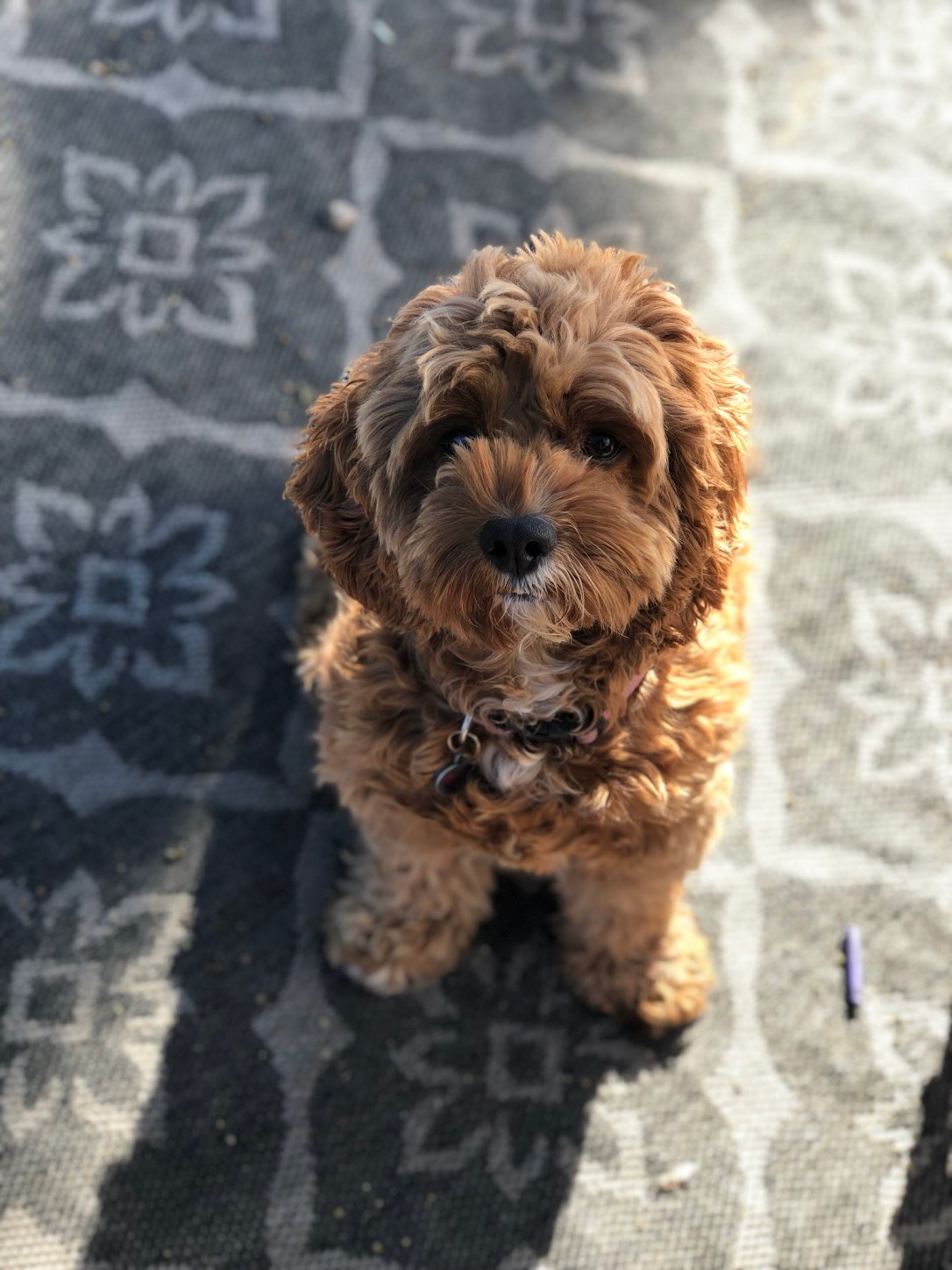 3DAA5ED8-DE8C-4F35-9B74-542228A69BF7