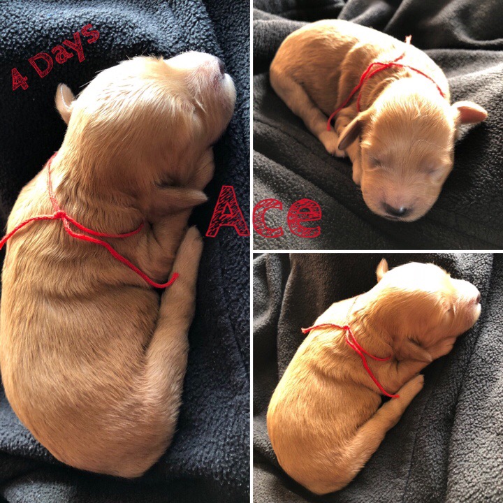 60292B10-3666-4077-9023-AD749BCD756F