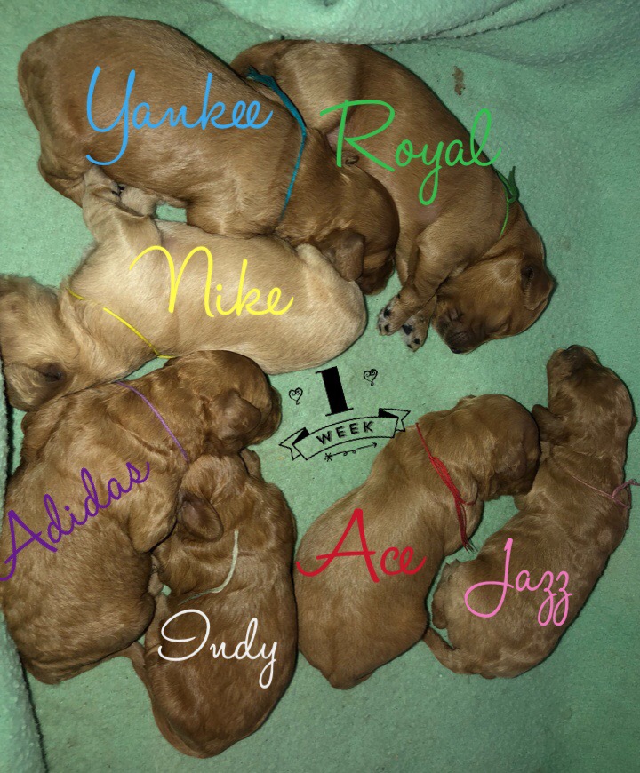 61A3A90B-5844-477E-BA5A-04F0C9EF09EF