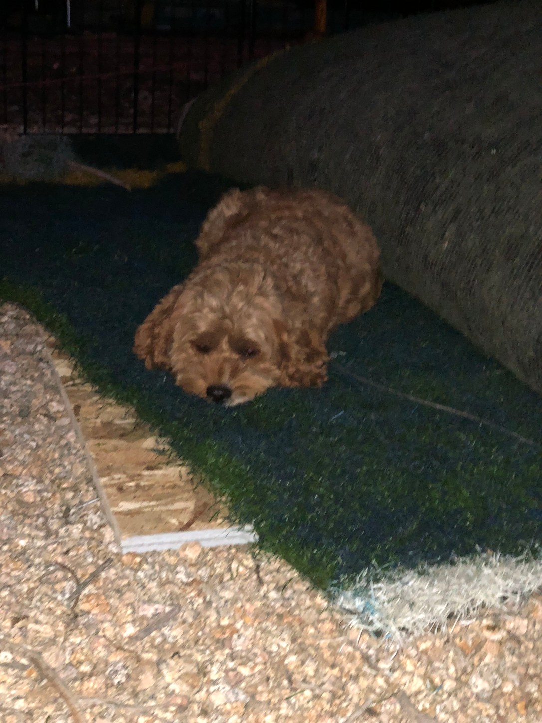 76802484-43CC-4807-9538-7E0EE69E62C2