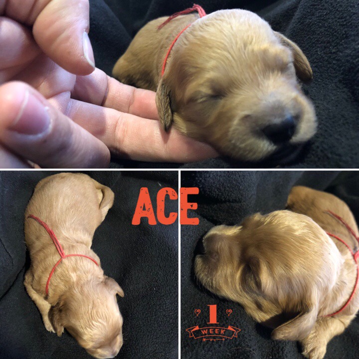 92CC8C64-3279-45EF-96D3-DC5A9A3C7BE0