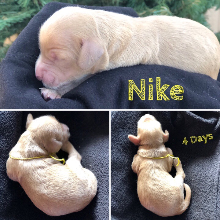 932E1C50-A265-4699-8ED7-6E8C12A8512B