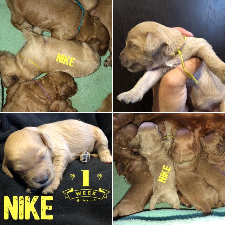 9DE98E04-D495-4D44-A6E7-764FB41D5763