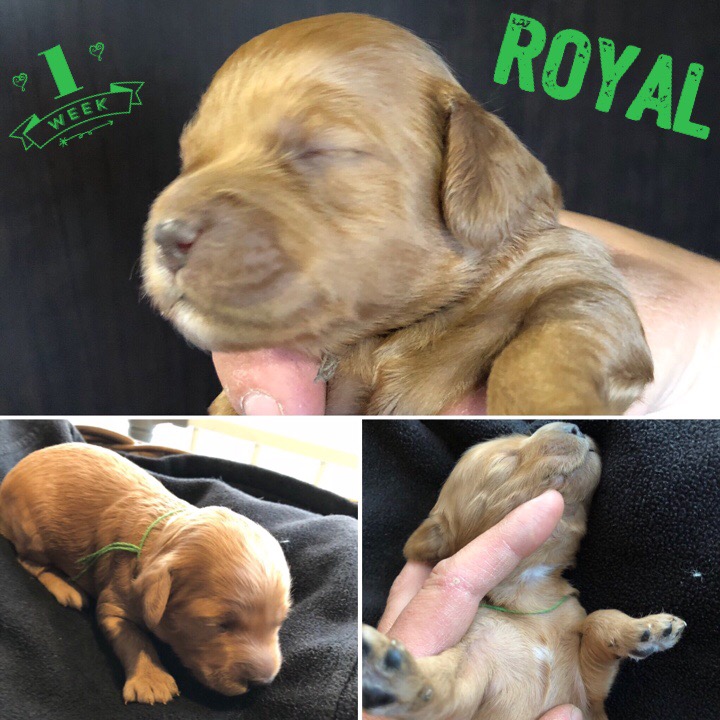 B43BF363-309C-44FB-AD02-86BFE7EEA085