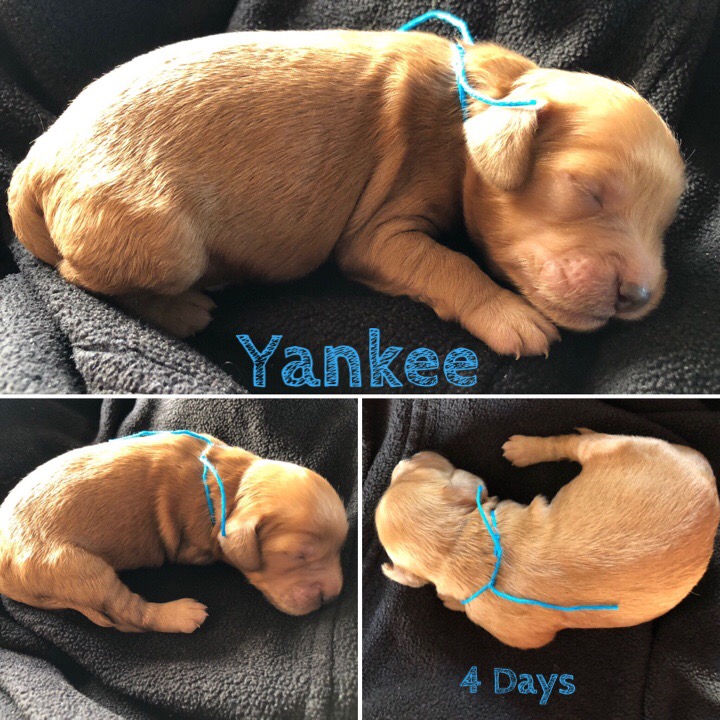 C182900C-419B-4E54-951C-7E9802E9E2C5