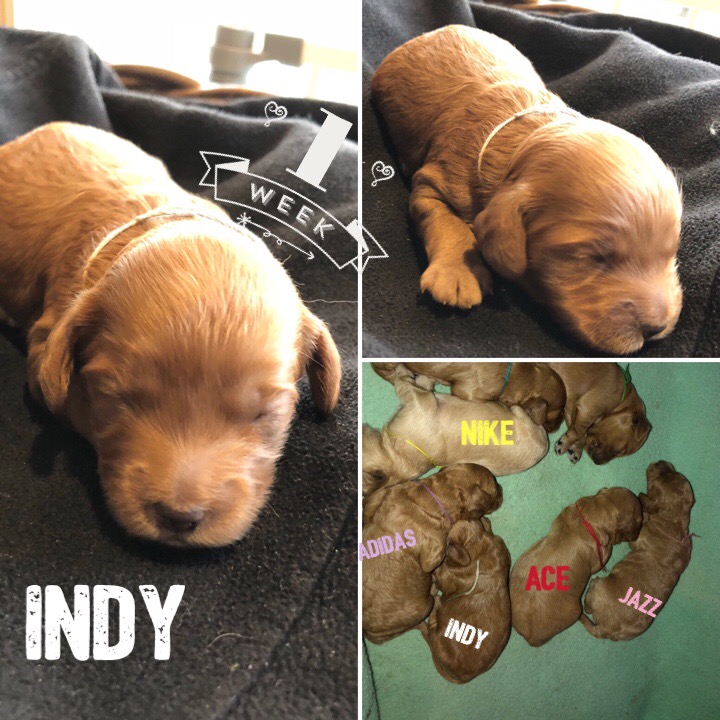 D4D7FDA9-E377-422D-A07C-A6B12F030040