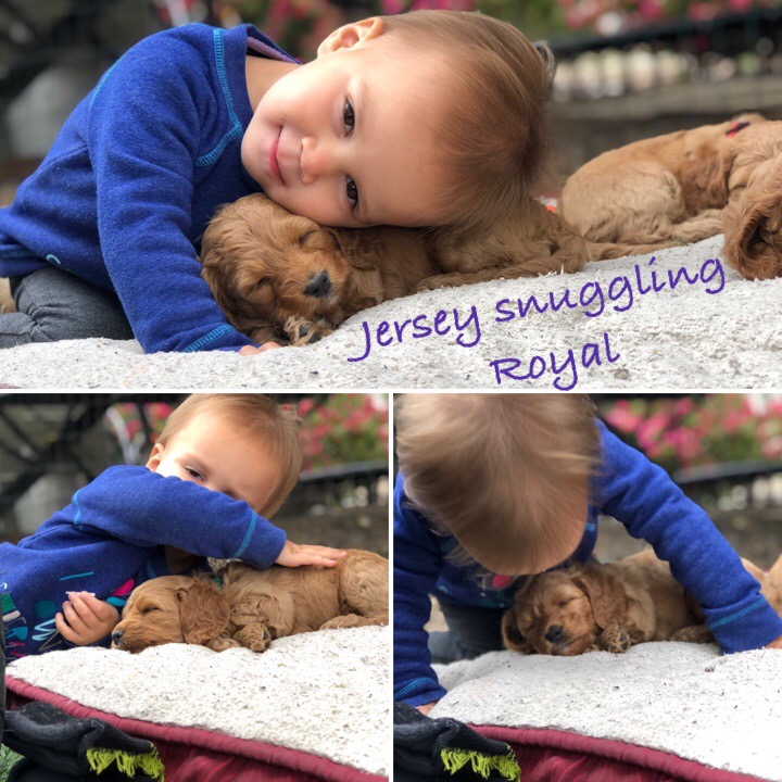 036769D3-8FBD-451E-B91F-6D73286FF6AE