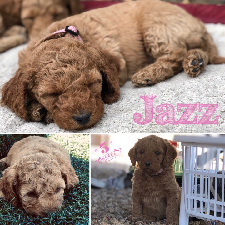 10312273-222E-4D2A-85F7-41196FA3D111