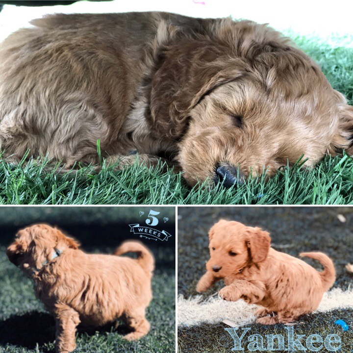 25BB6F00-0825-48E4-A1AF-8149CB5F6681