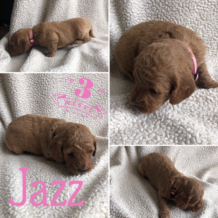 27B5458C-6F42-4925-99CB-C22950C595DA