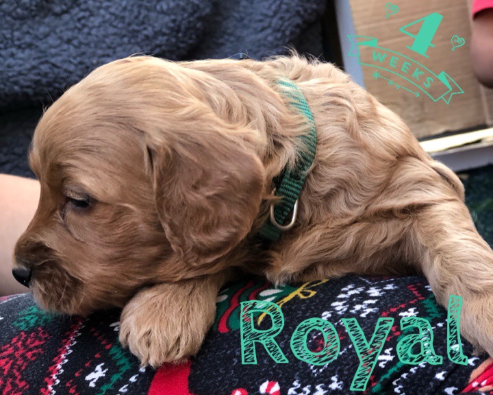 28290BF3-C010-40C7-9417-EC4F53288408