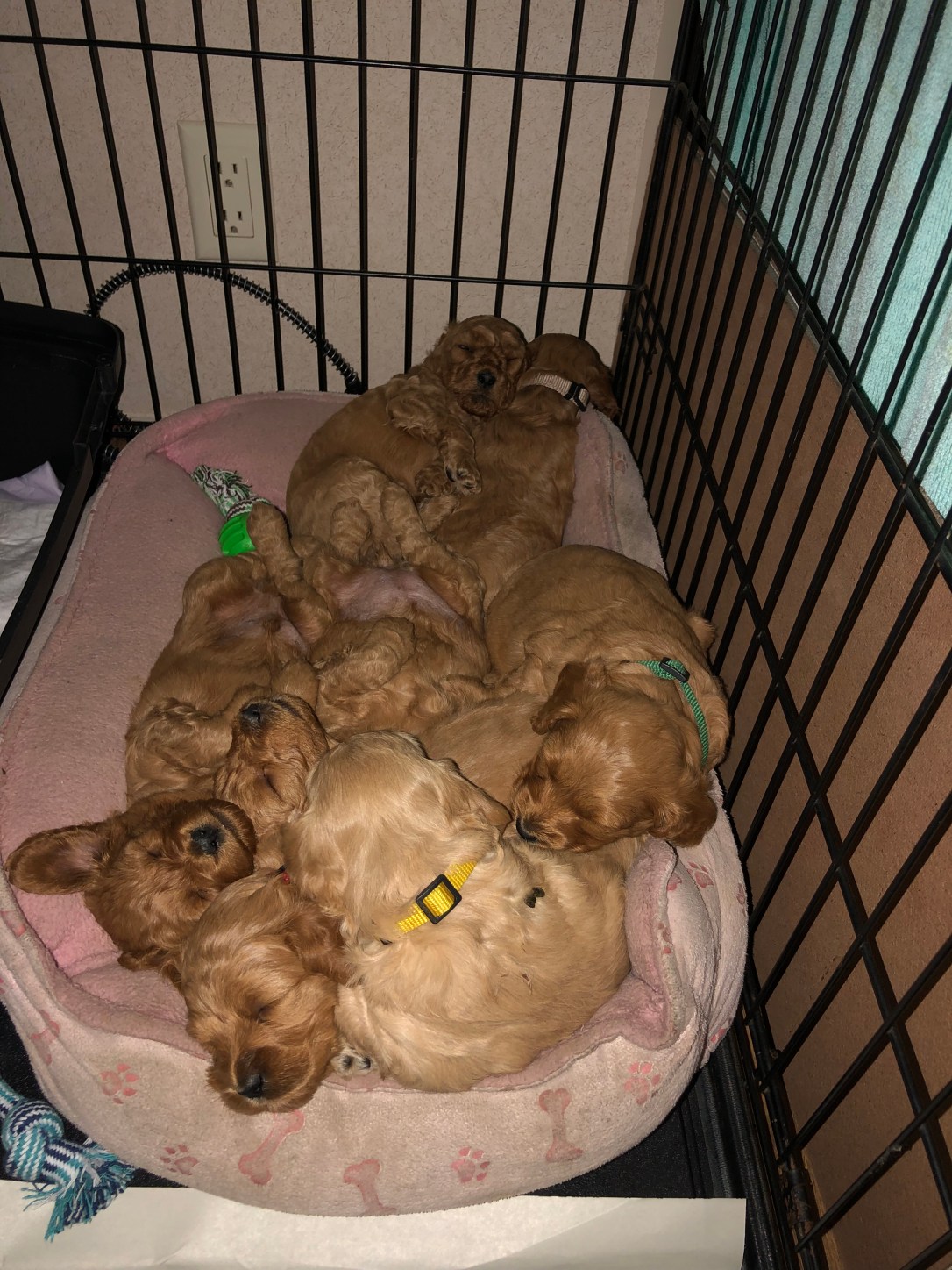 2D1B365A-DC1C-4999-A12A-A4493981A782