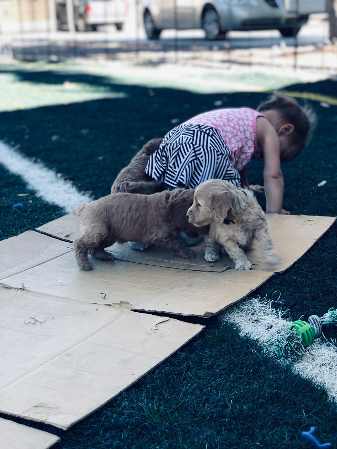 2FFF8890-CCD5-4AB2-A7C0-61E9320A915F