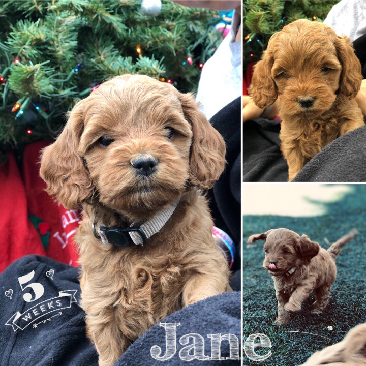 30400F6C-9270-4A05-8430-EB2C85950582